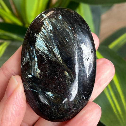 Arfvedsonite Palm Stone