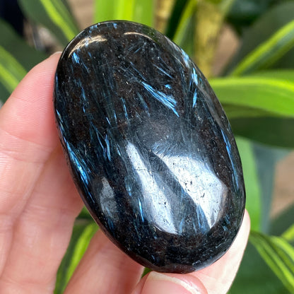 Arfvedsonite Palm Stone