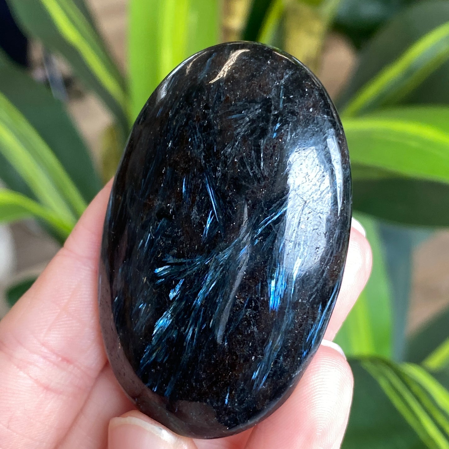 Arfvedsonite Palm Stone