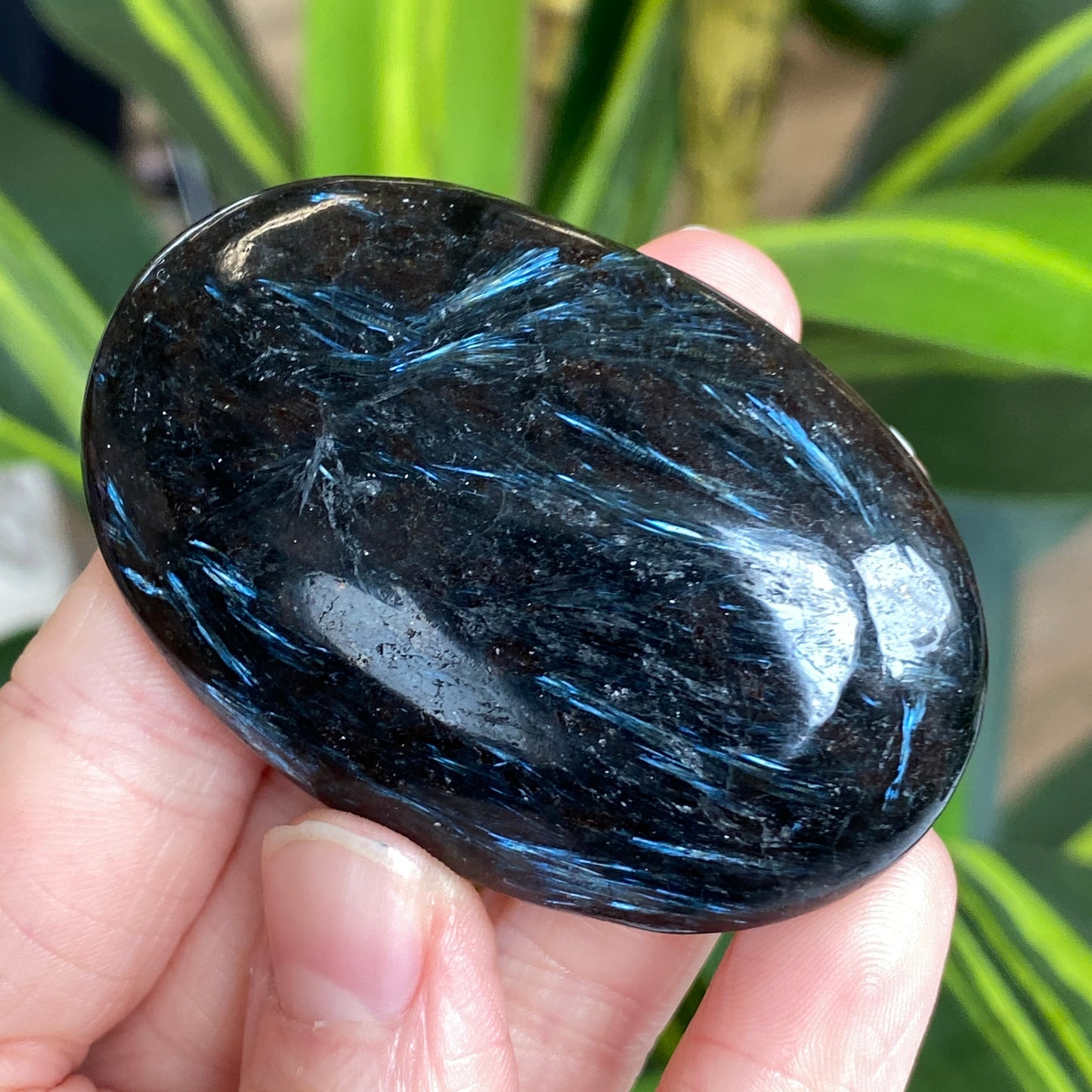 Arfvedsonite Palm Stone