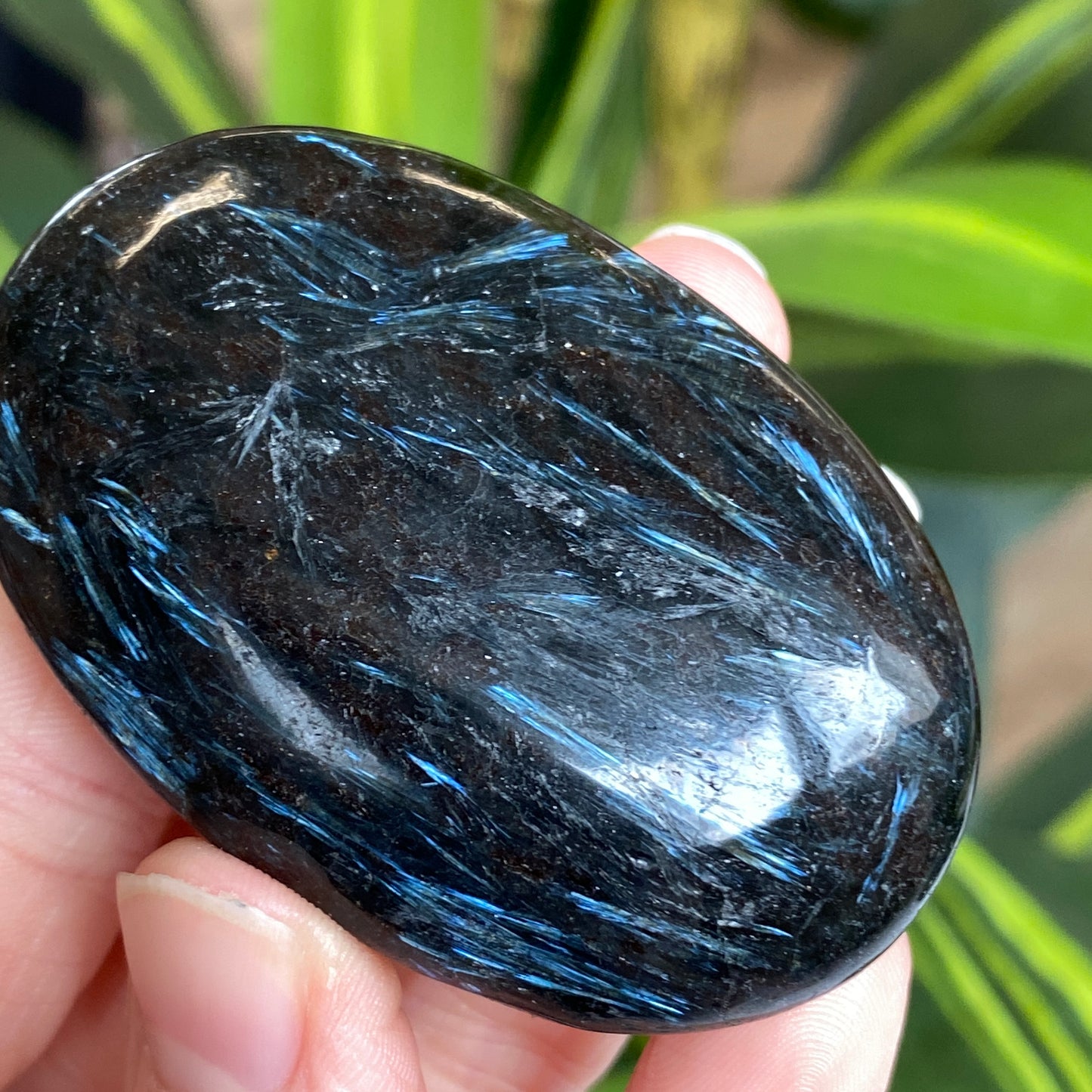 Arfvedsonite Palm Stone
