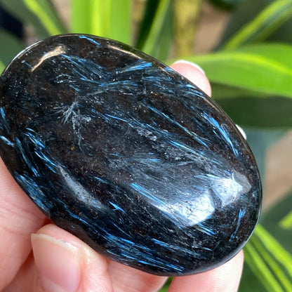 Arfvedsonite Palm Stone