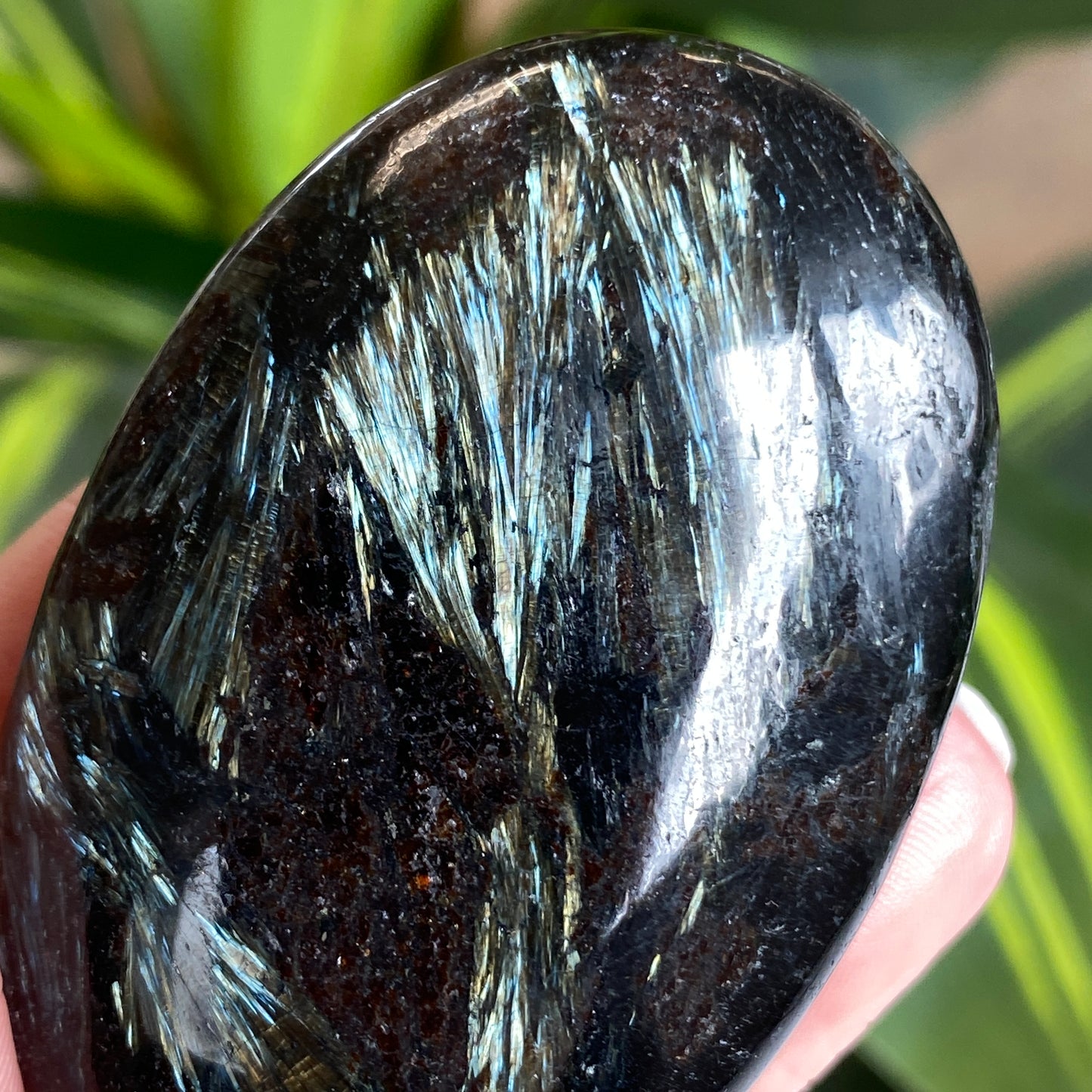 Arfvedsonite Palm Stone