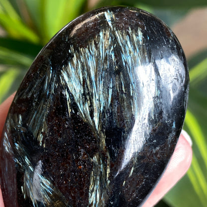 Arfvedsonite Palm Stone