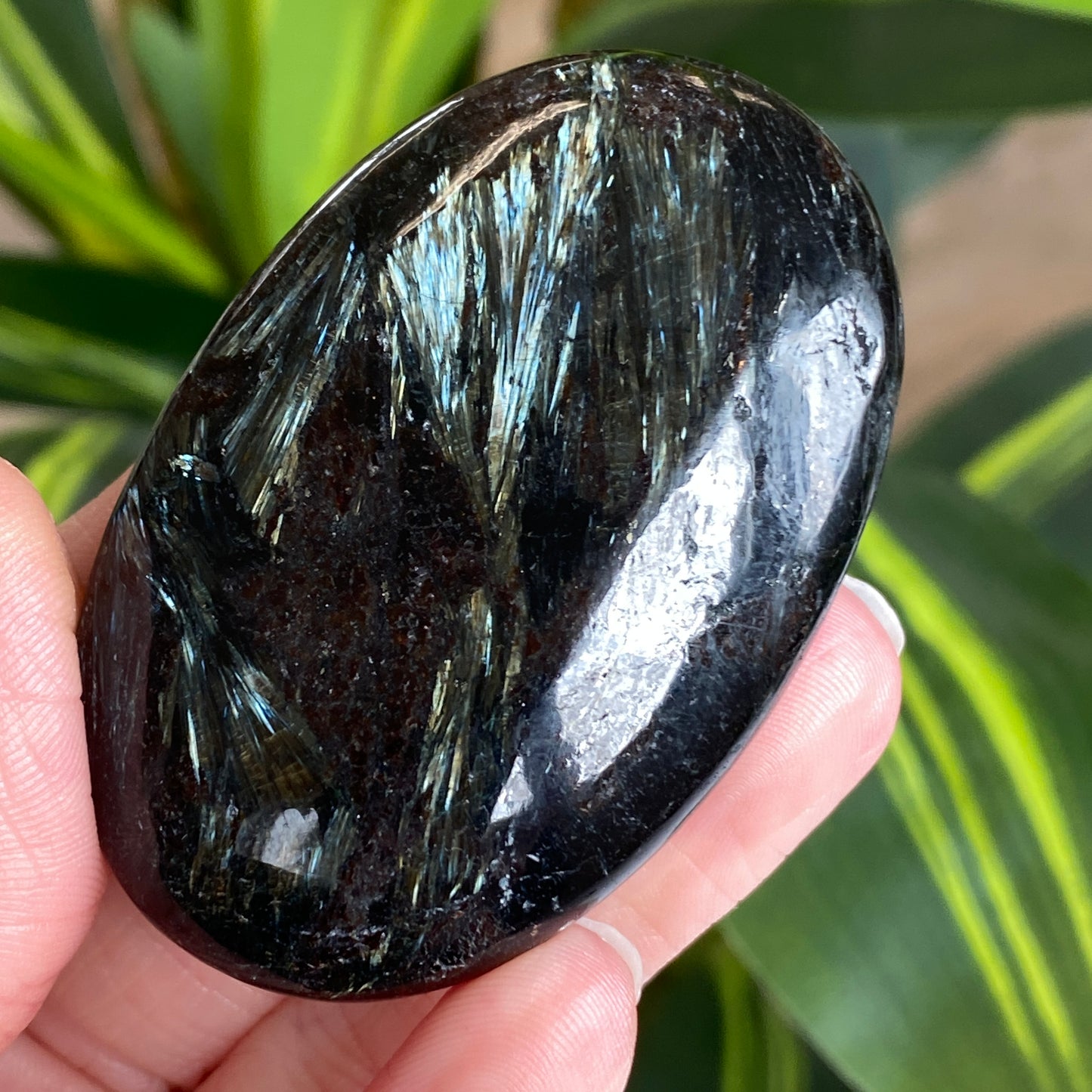 Arfvedsonite Palm Stone