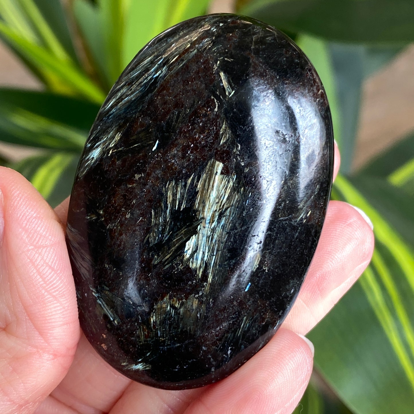 Arfvedsonite Palm Stone