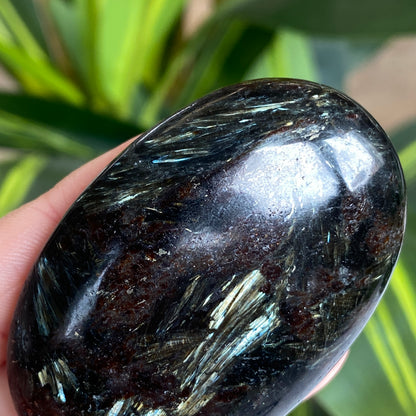Arfvedsonite Palm Stone
