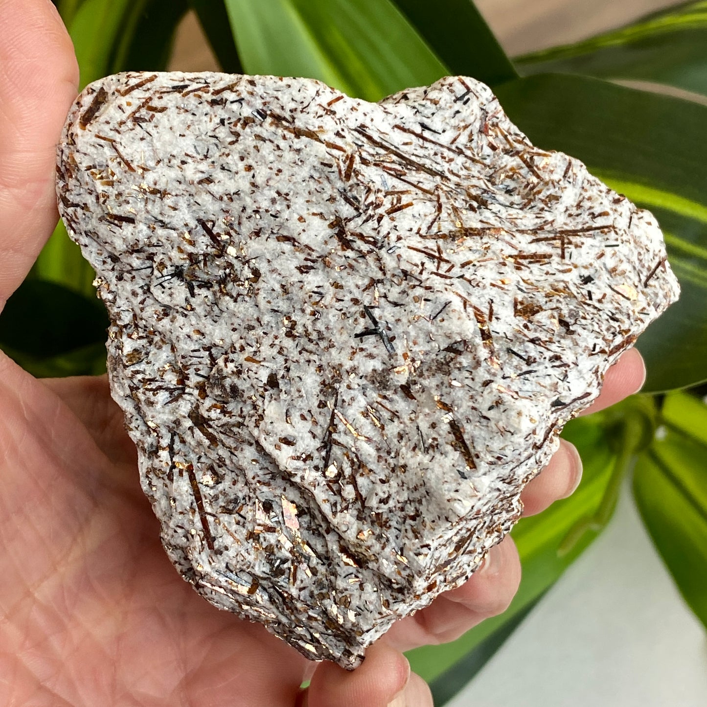 Astrophyllite