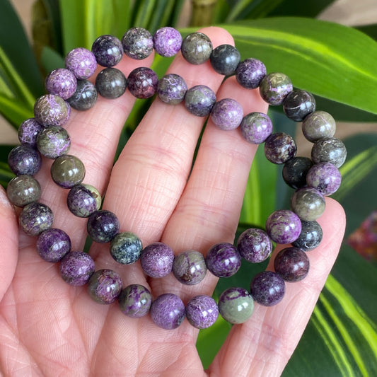Atlantisite Bracelet, Stichtite and Serpentine