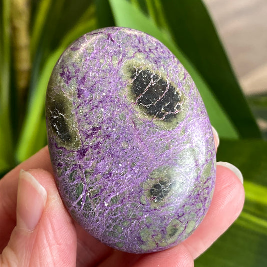 Atlantisite Palm Stone, Stichtite and Serpentine