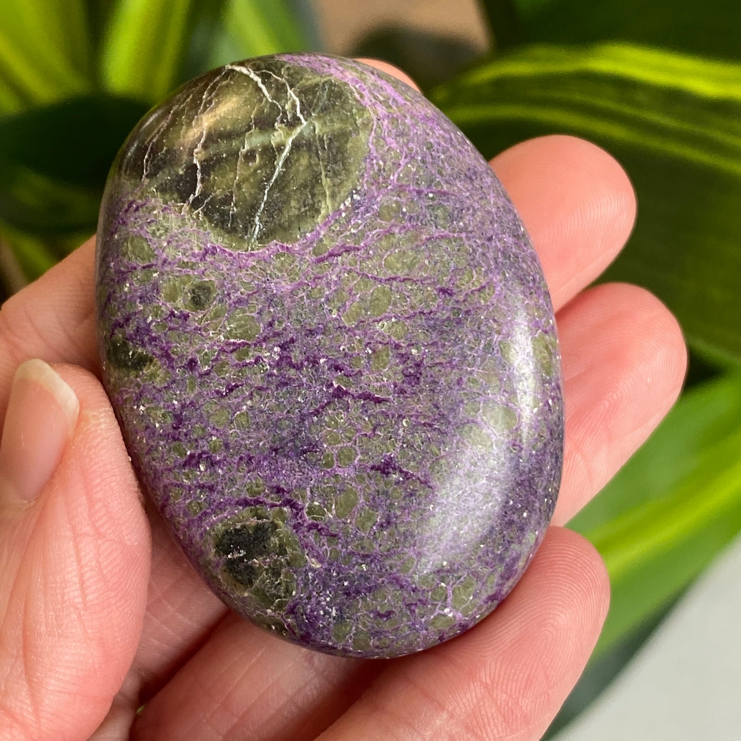 Atlantisite Palm Stone, Stichtite and Serpentine