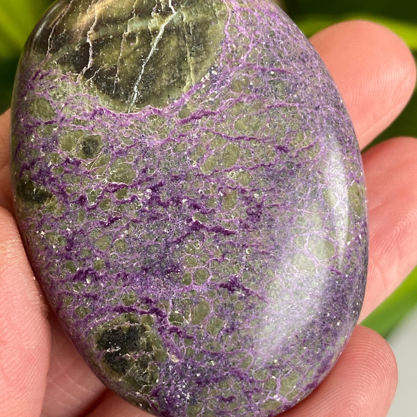 Atlantisite Palm Stone, Stichtite and Serpentine