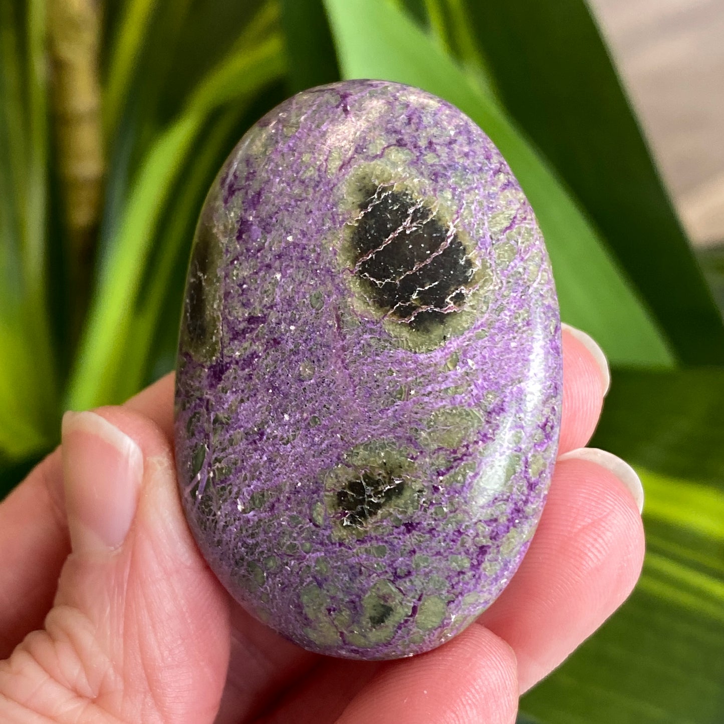 Atlantisite Palm Stone, Stichtite and Serpentine