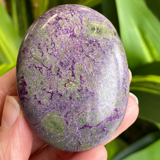 Atlantisite Palm Stone, Stichtite and Serpentine