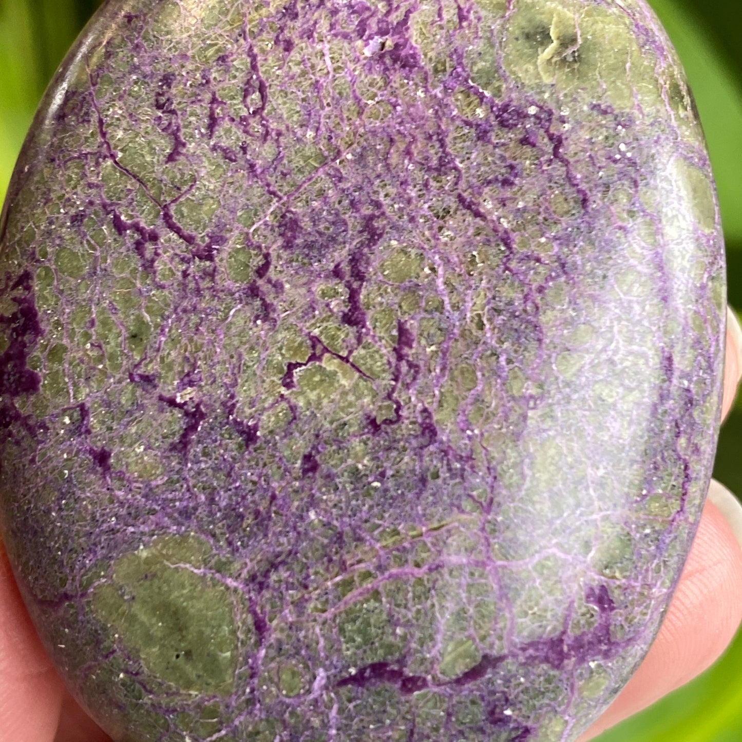 Atlantisite Palm Stone, Stichtite and Serpentine