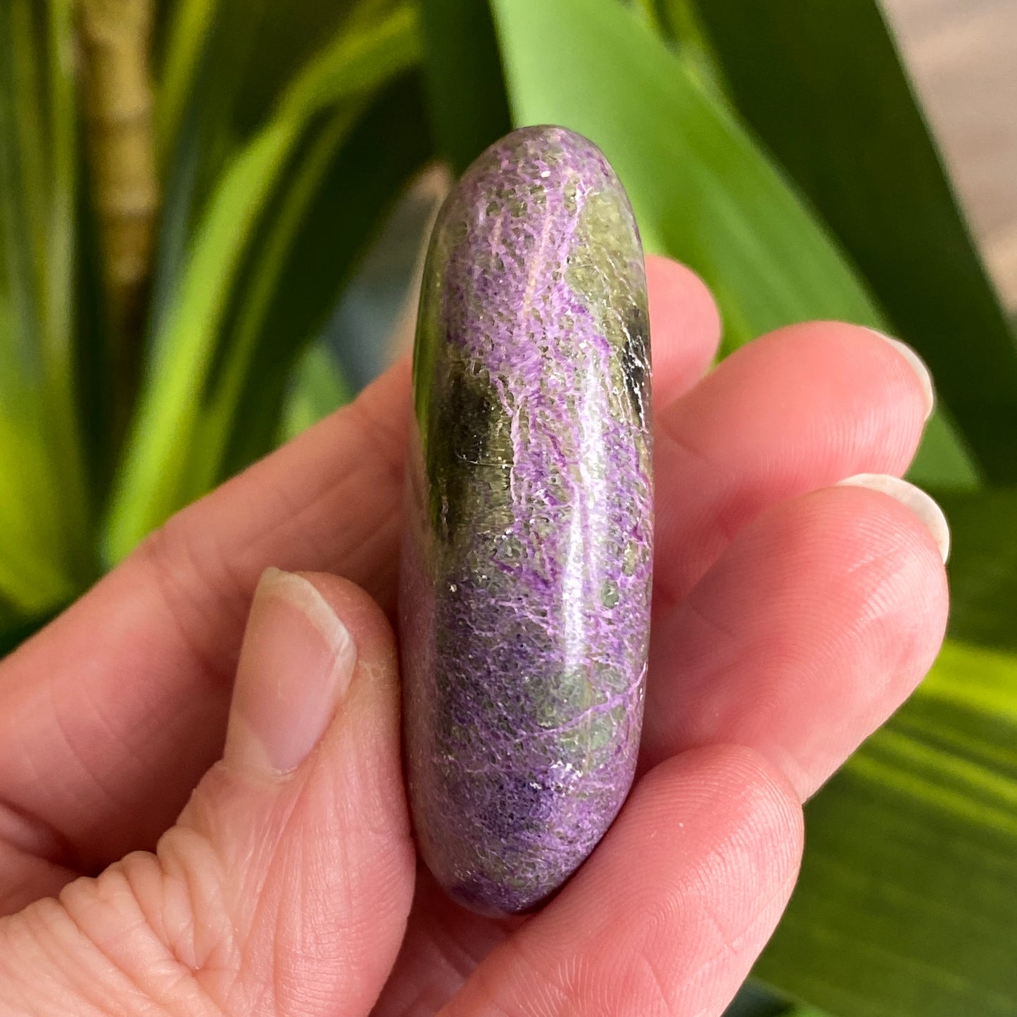 Atlantisite Palm Stone, Stichtite and Serpentine