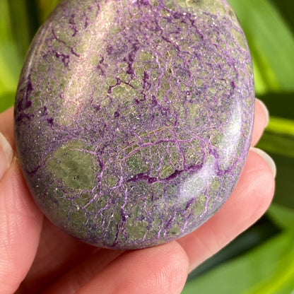Atlantisite Palm Stone, Stichtite and Serpentine