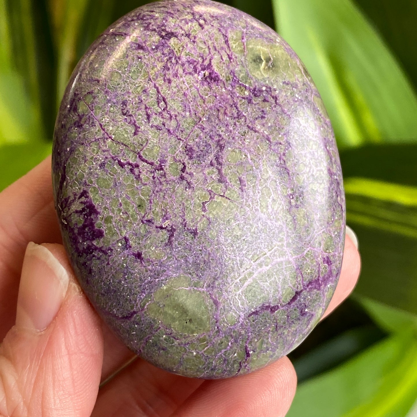 Atlantisite Palm Stone, Stichtite and Serpentine