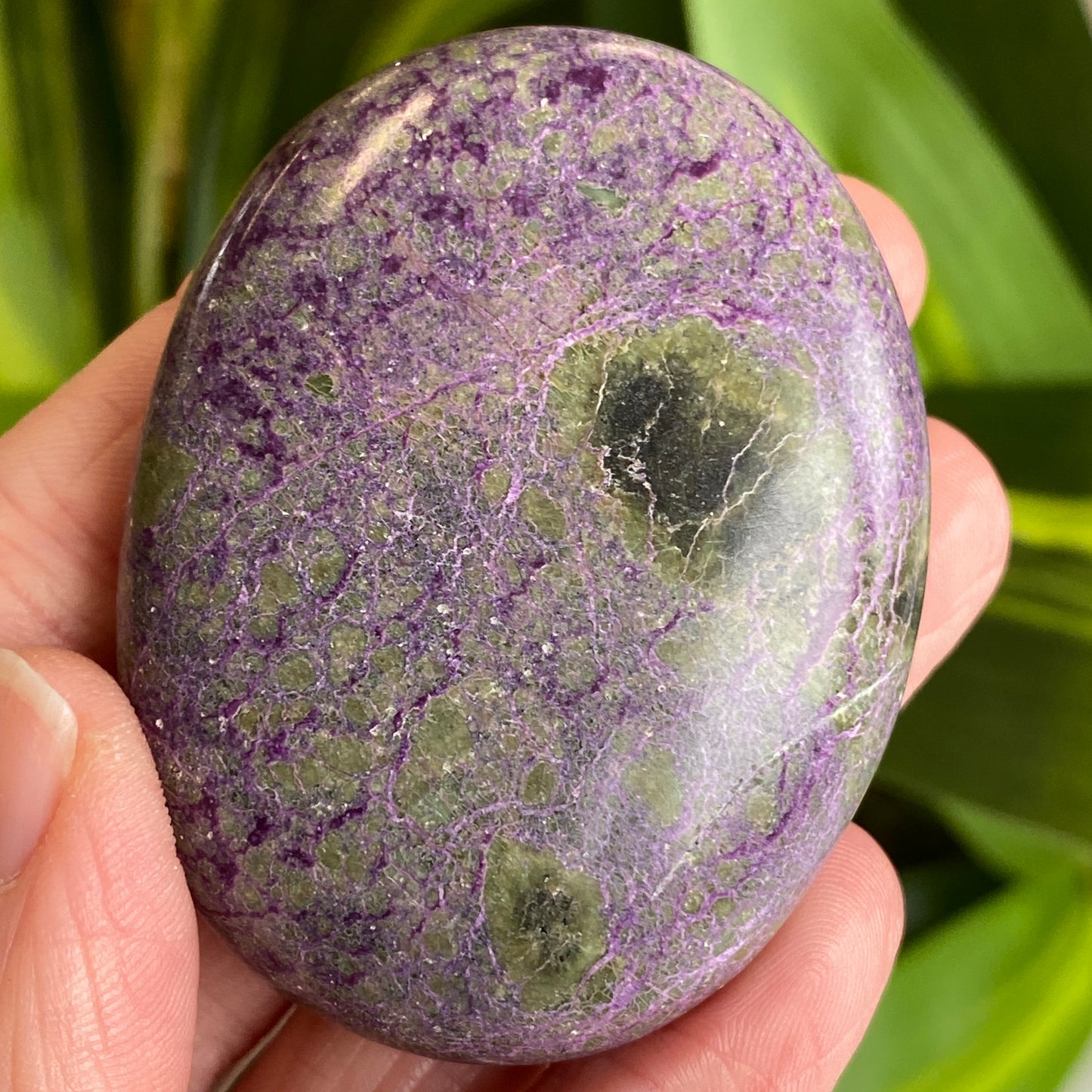 Atlantisite Palm Stone, Stichtite and Serpentine