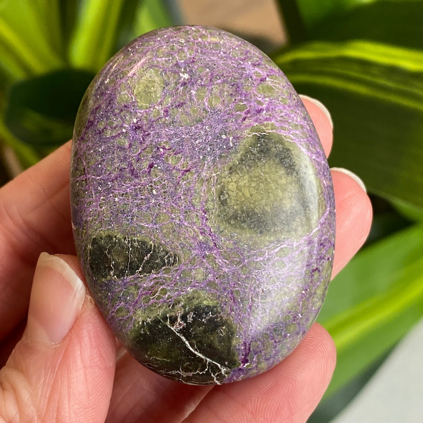 Atlantisite Palm Stone, Stichtite and Serpentine