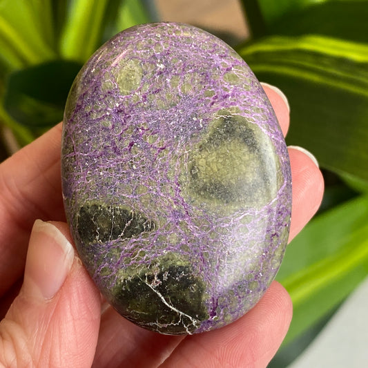 Atlantisite Palm Stone, Stichtite and Serpentine