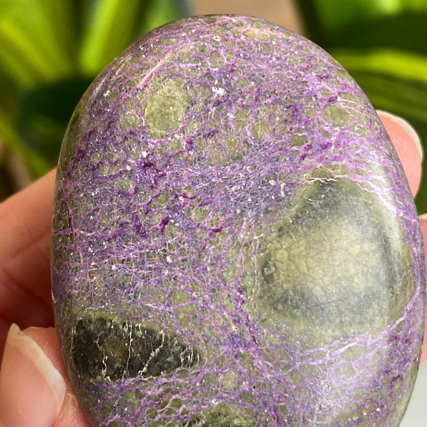 Atlantisite Palm Stone, Stichtite and Serpentine