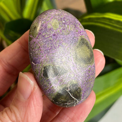 Atlantisite Palm Stone, Stichtite and Serpentine