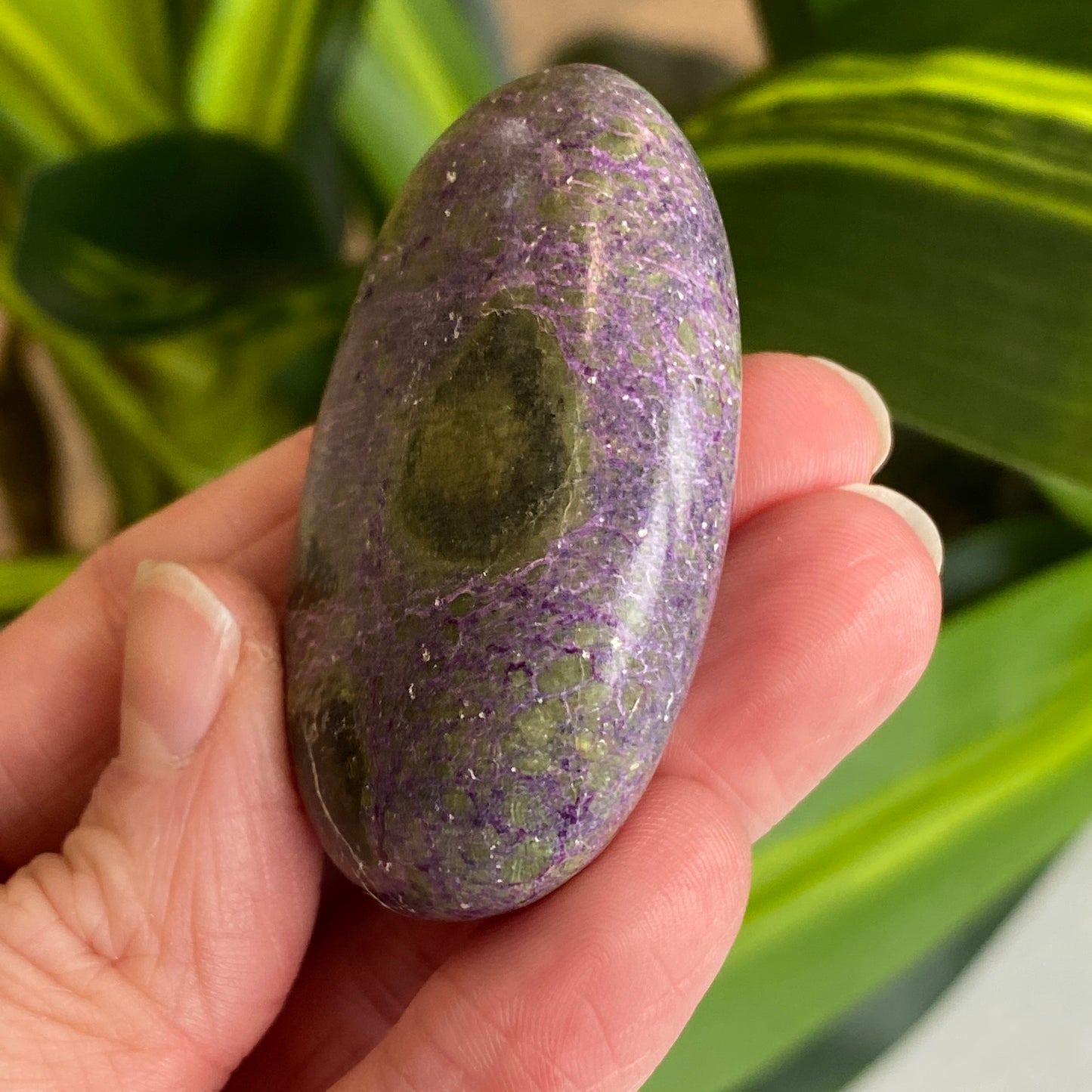 Atlantisite Palm Stone, Stichtite and Serpentine