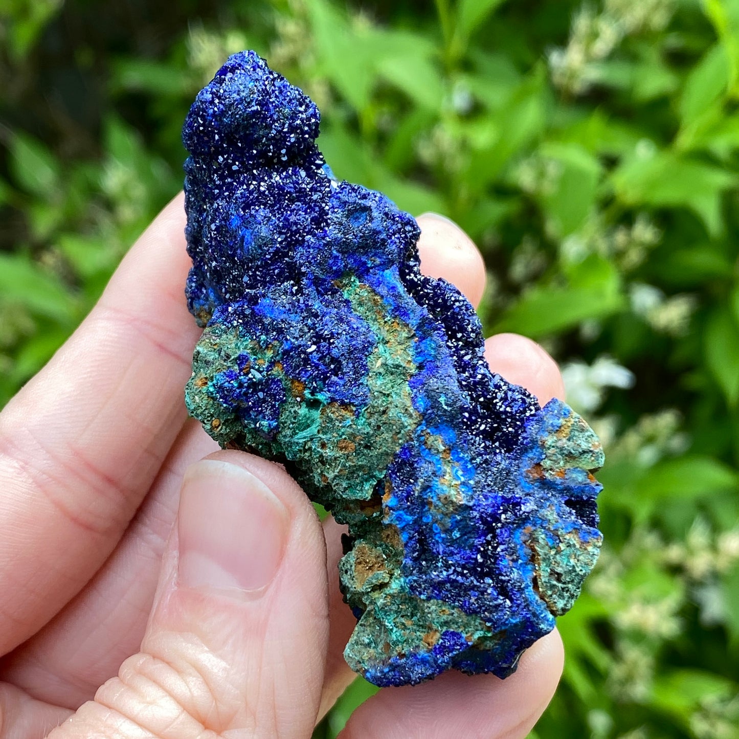 Azurite with Malachite