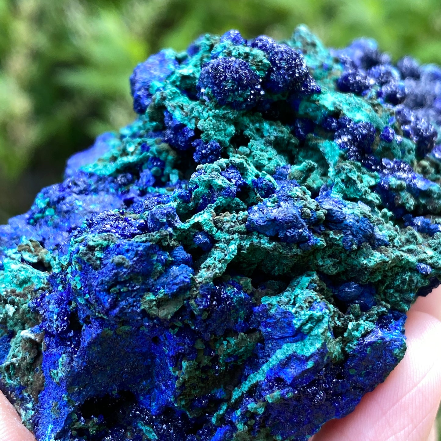 Azurite with Malachite