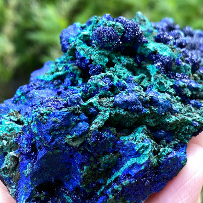 Azurite with Malachite