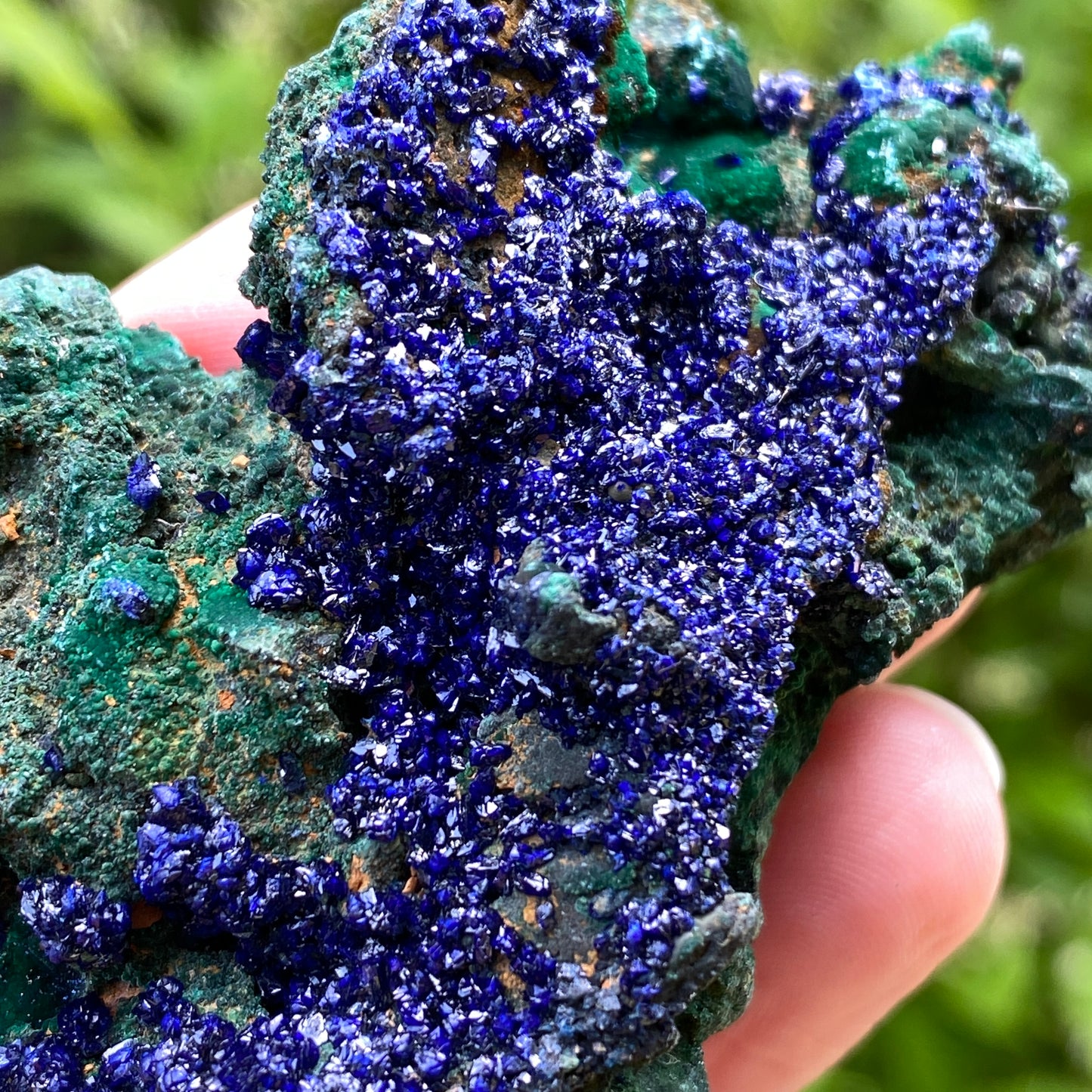 Azurite with Malachite