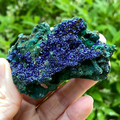 Azurite with Malachite