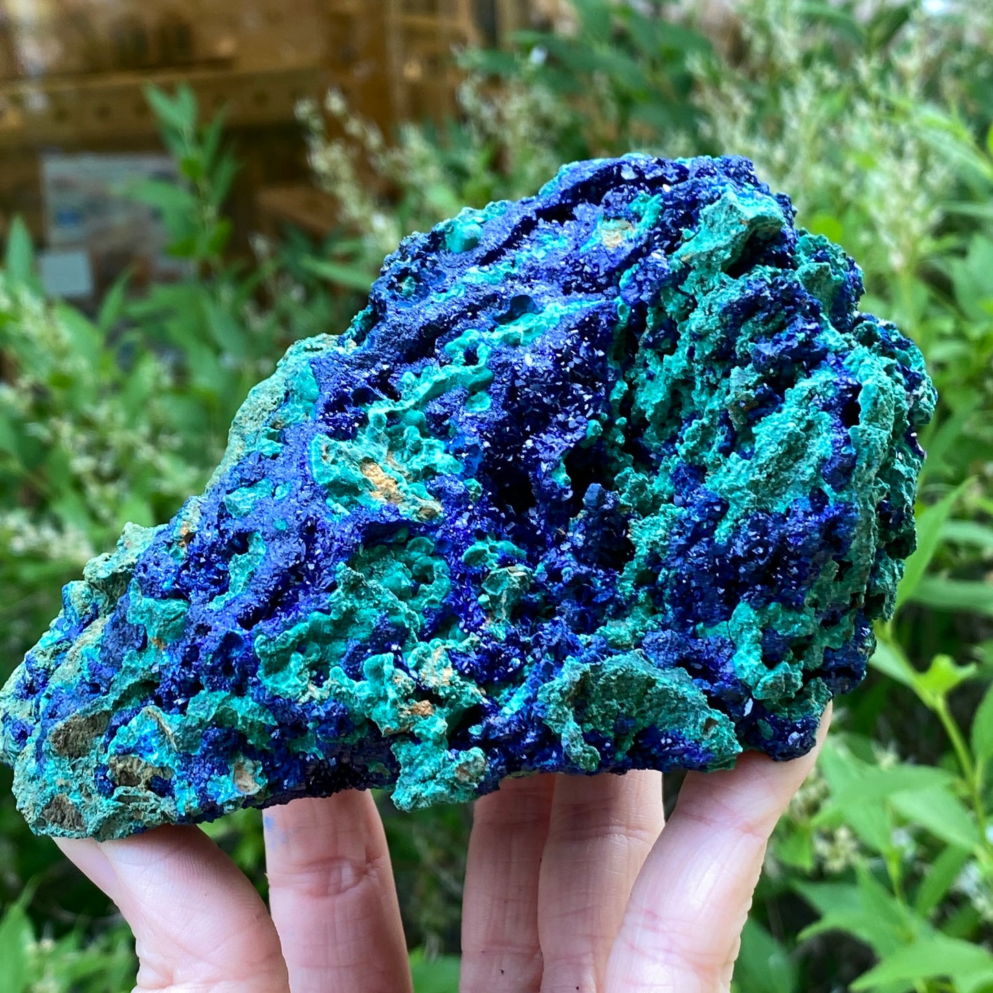 Azurite with Malachite