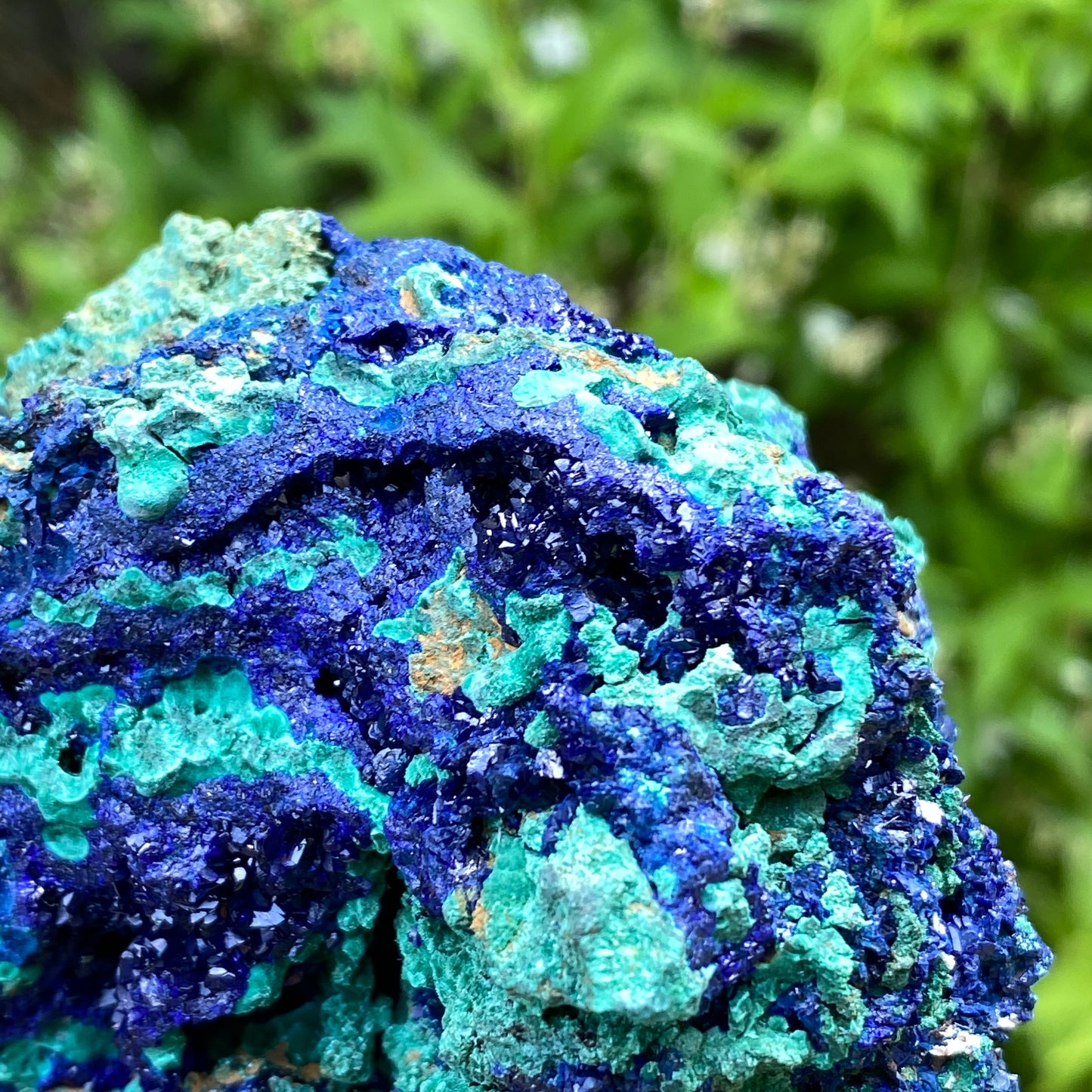 Azurite with Malachite
