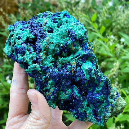 Azurite with Malachite