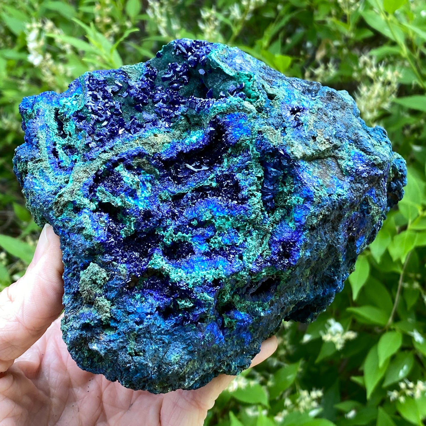 Azurite with Malachite, 3lb