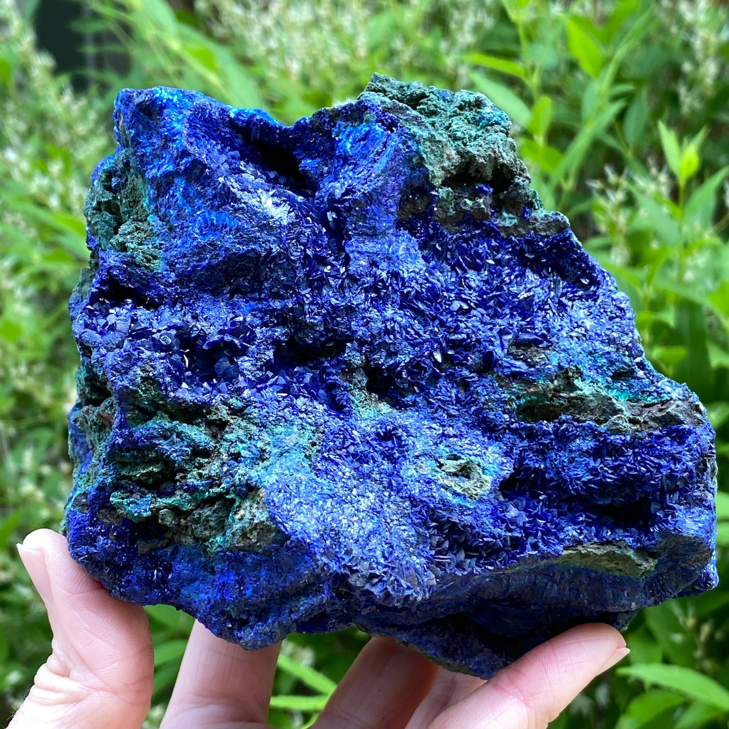 Azurite with Malachite, 3lb