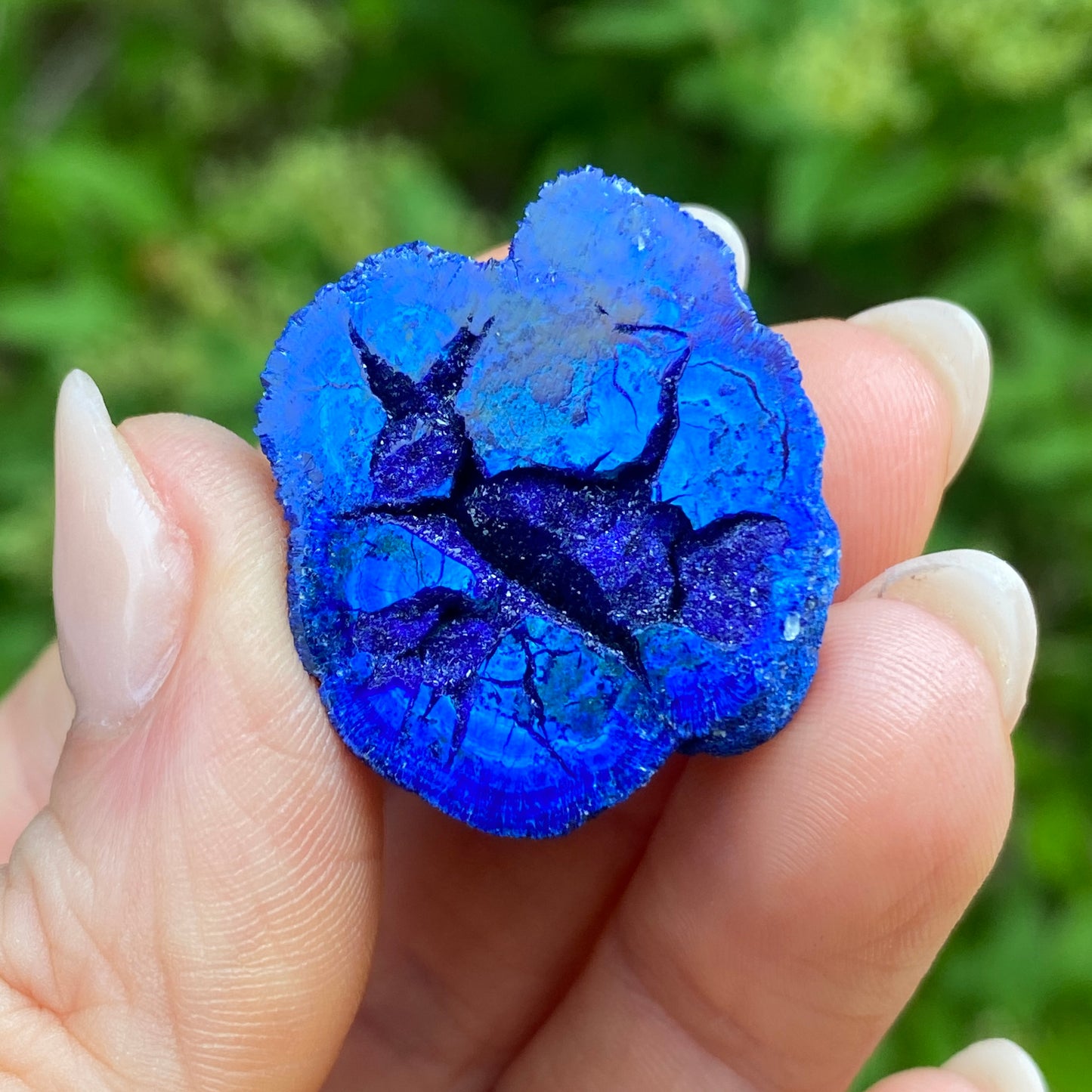 Azurite Blueberry Geode