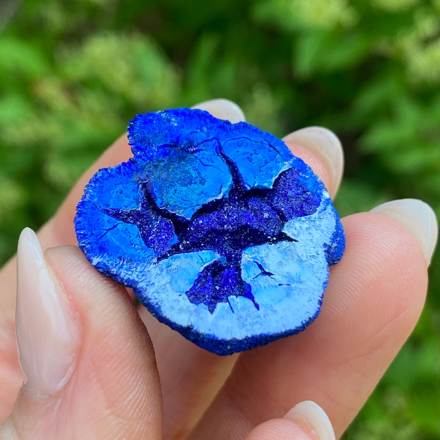 Azurite Blueberry Geode