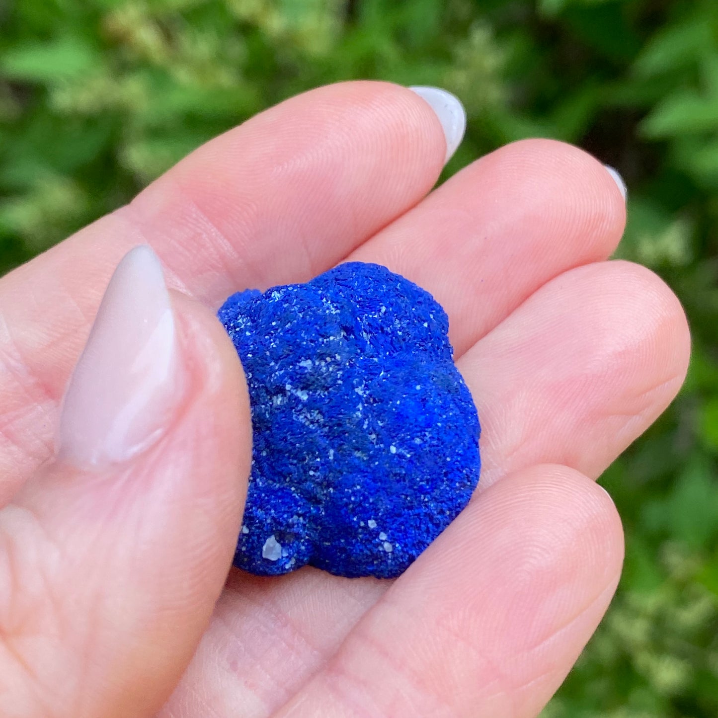 Azurite Blueberry Geode