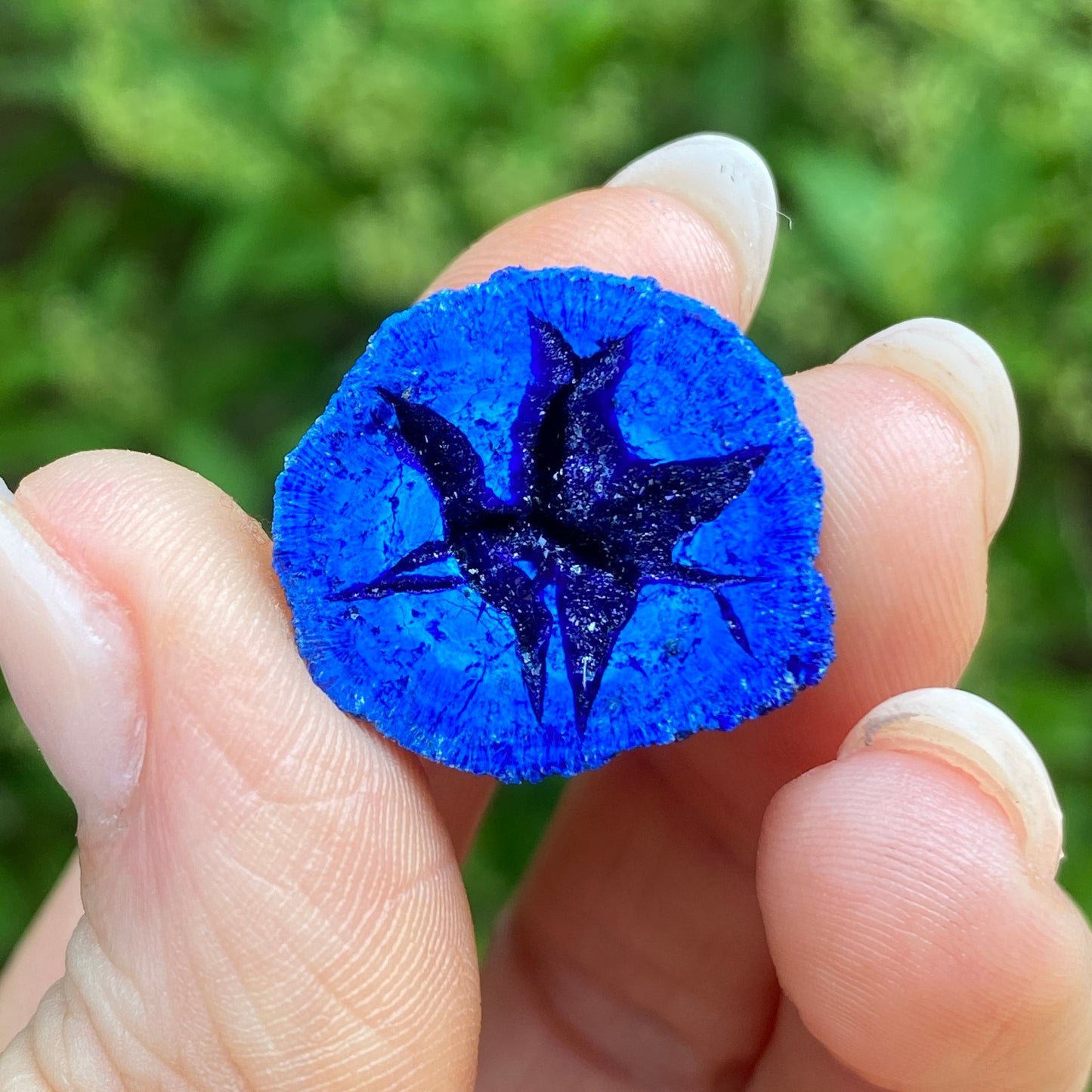 Azurite Blueberry Geode