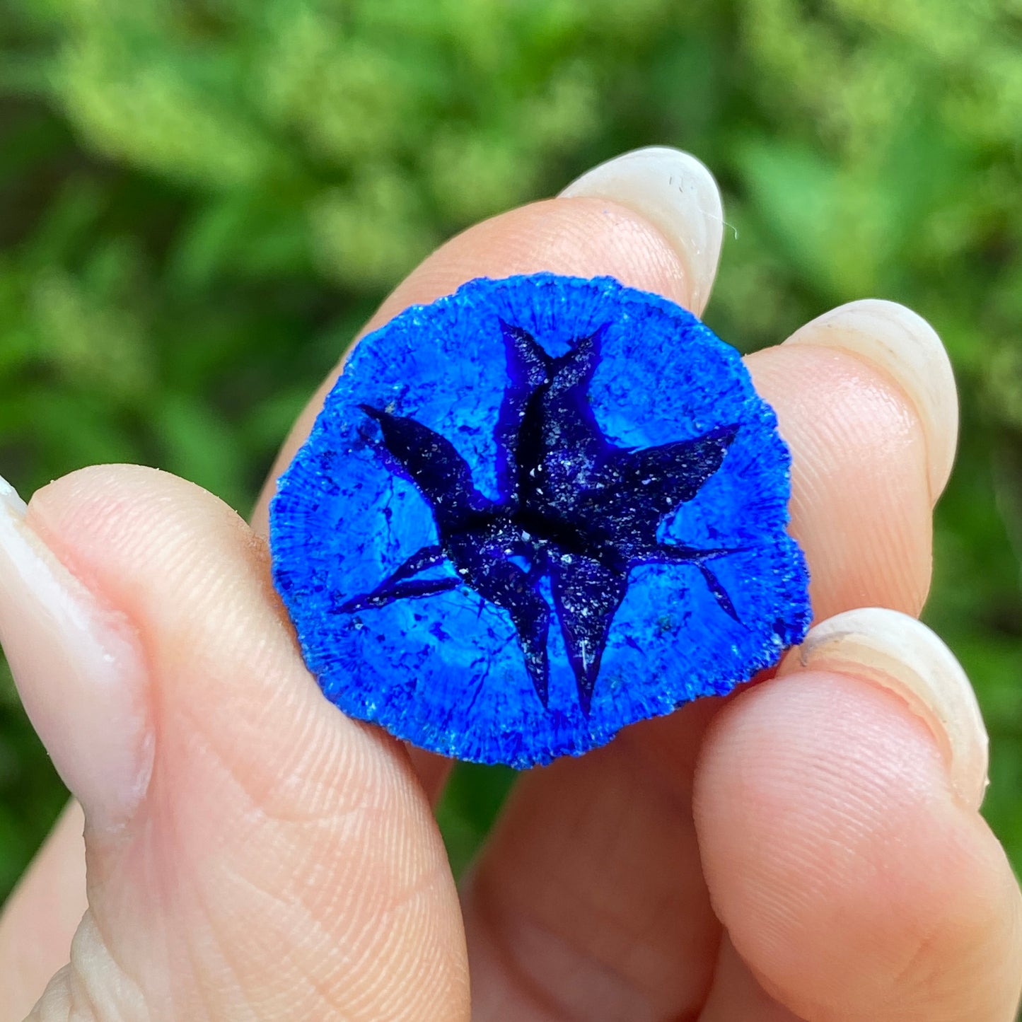 Azurite Blueberry Geode