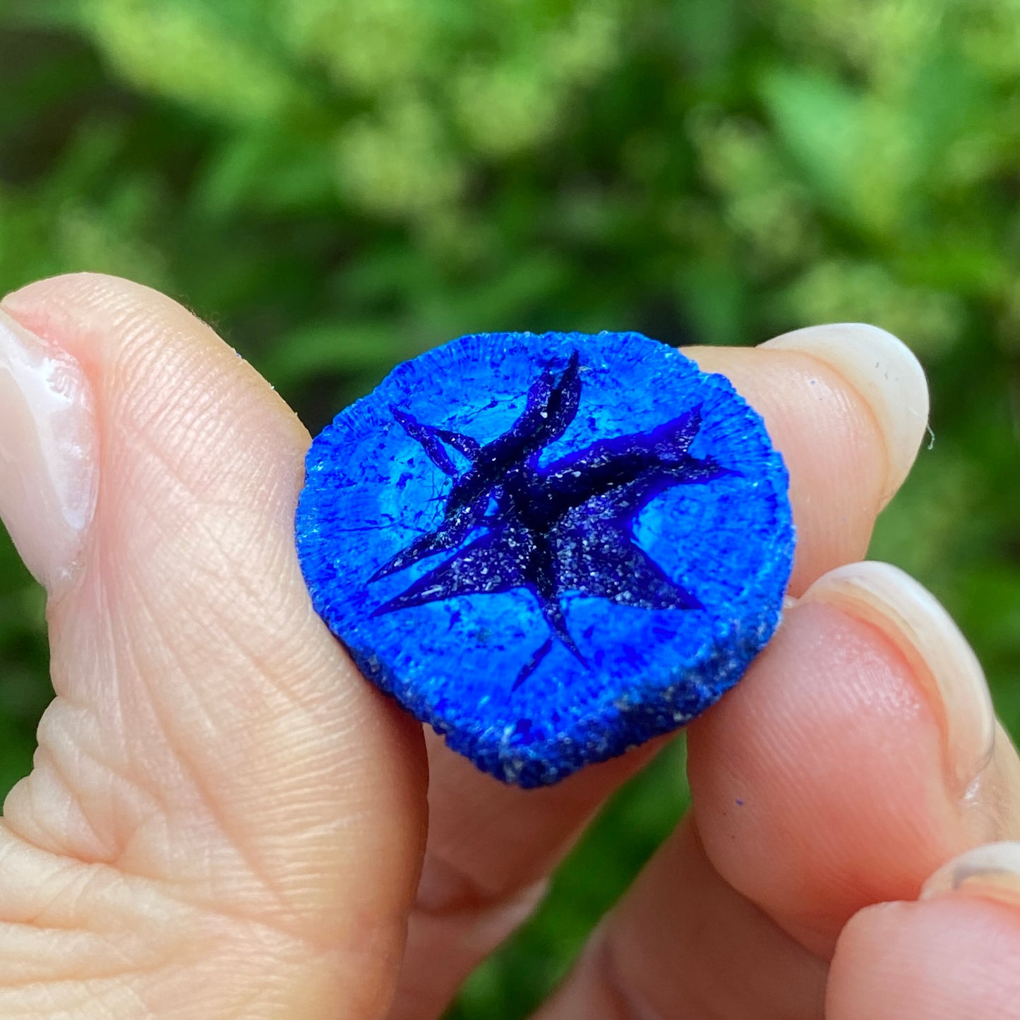 Azurite Blueberry Geode