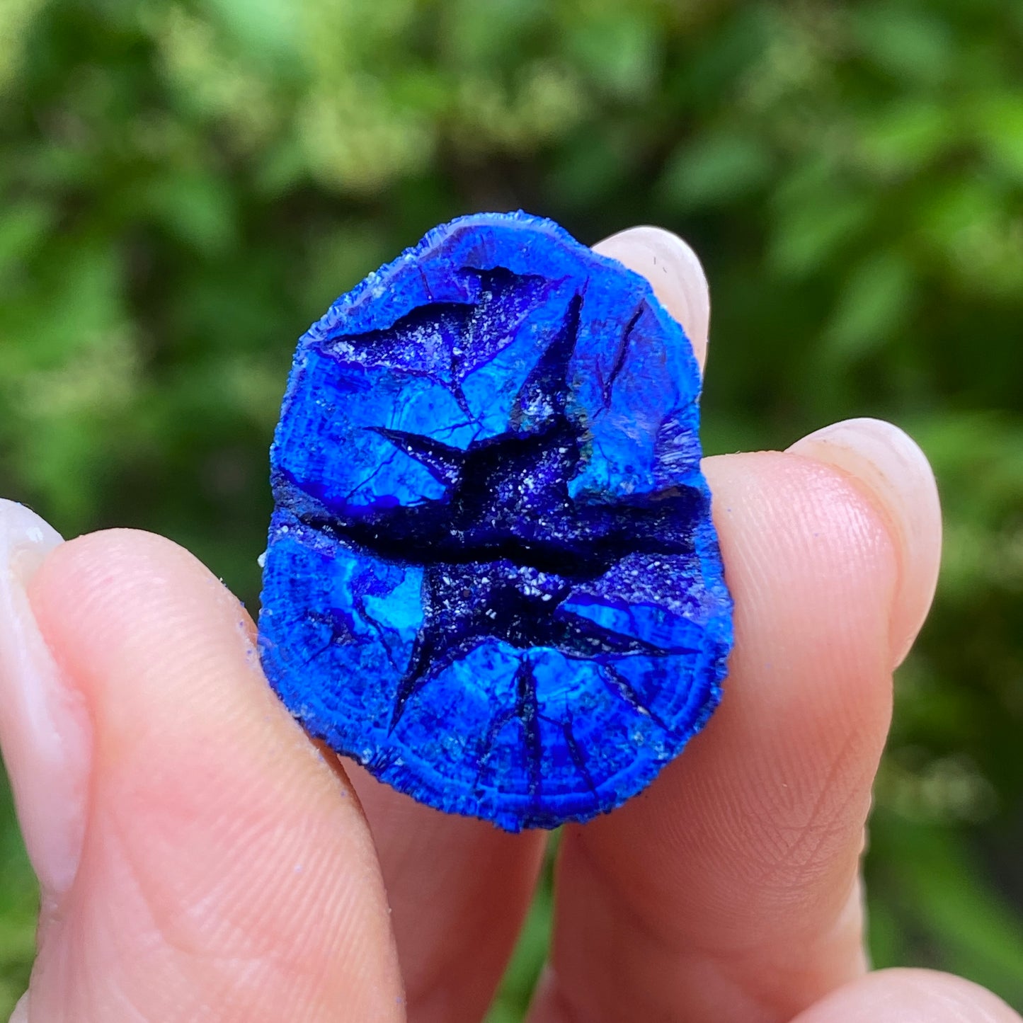 Azurite Blueberry Geode