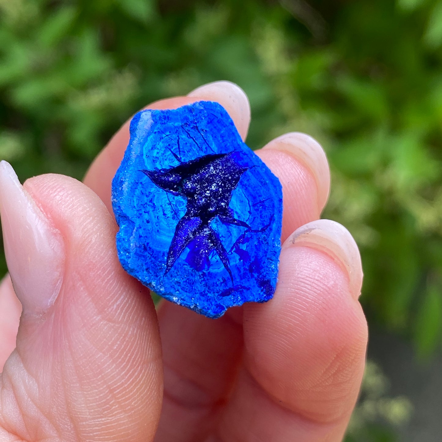 Azurite Blueberry Geode