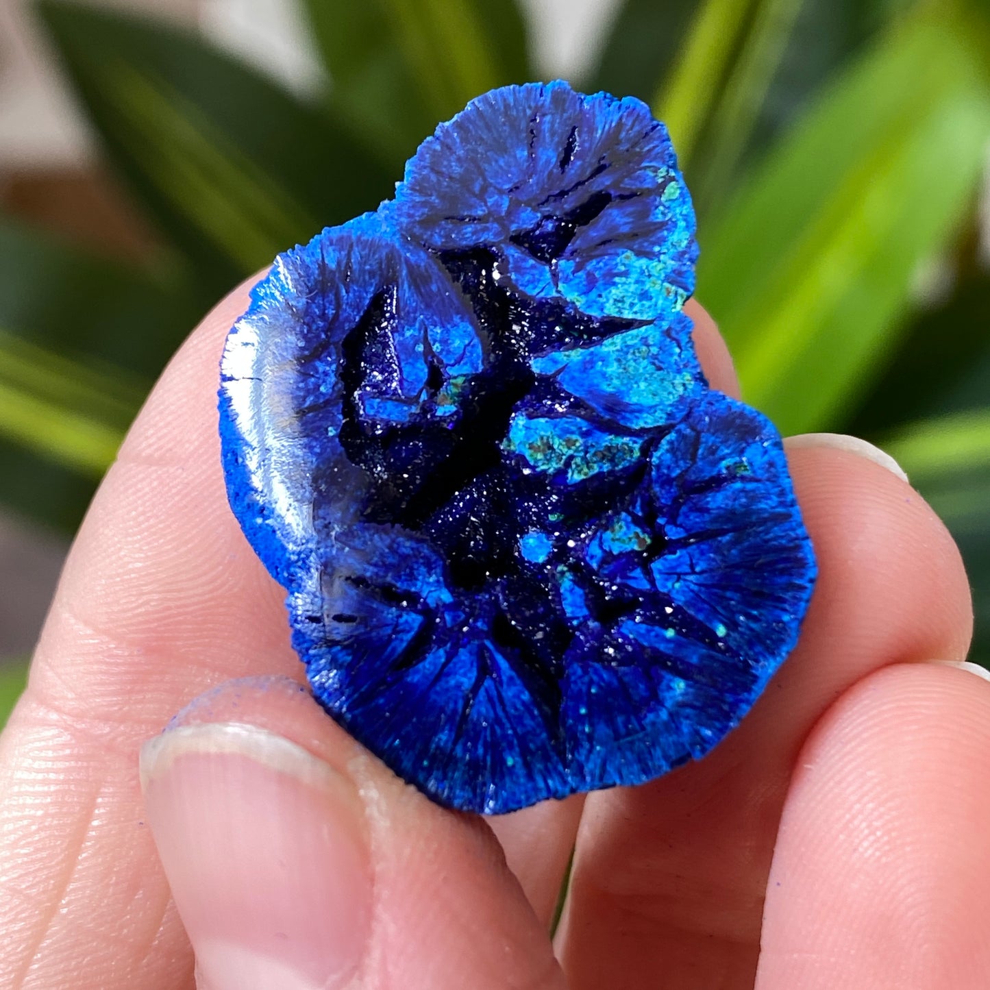Azurite Geode