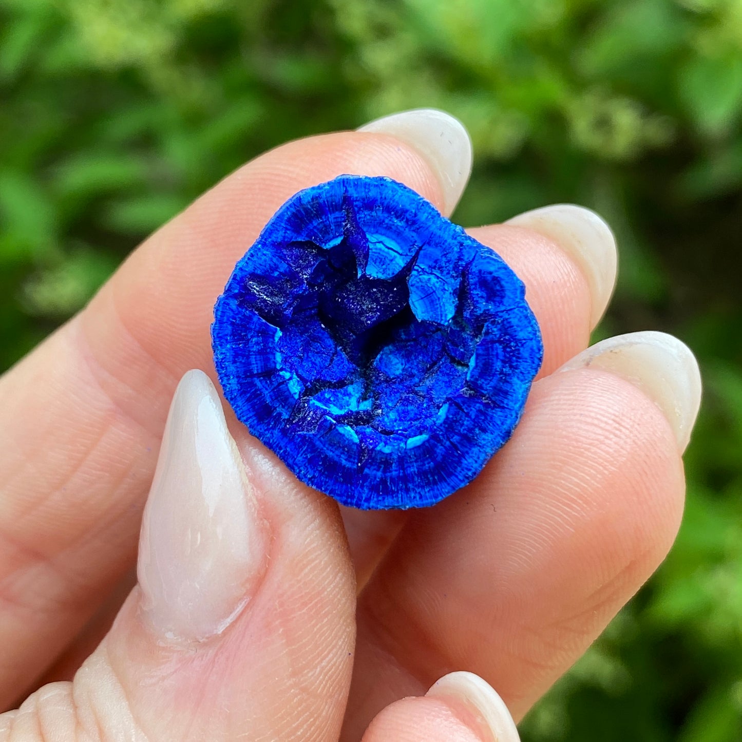 Azurite Blueberry Geode