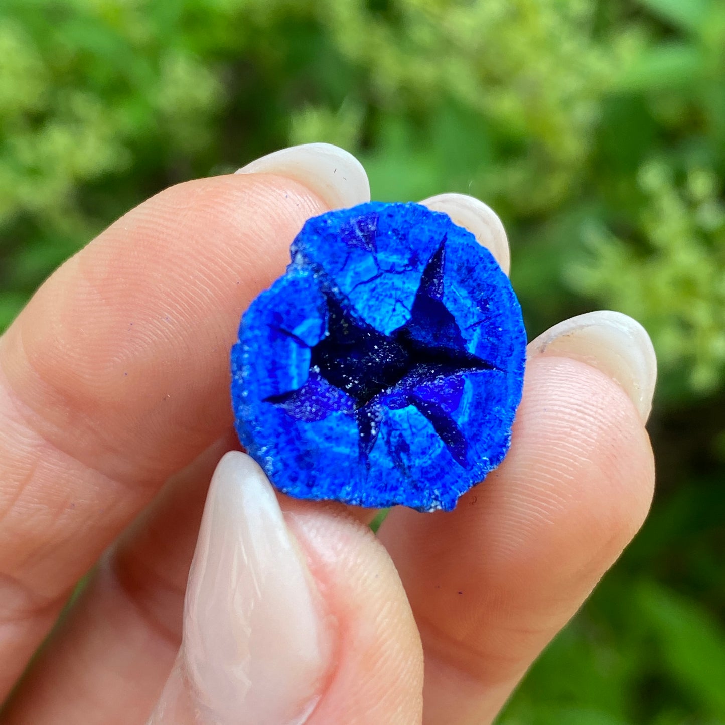 Azurite Blueberry Geode