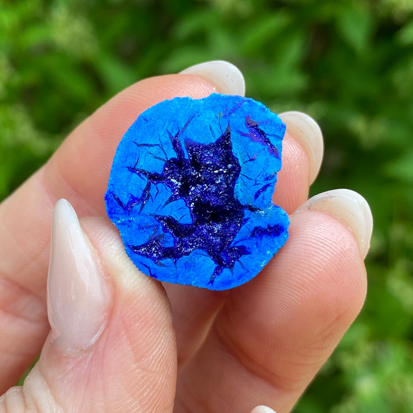 Azurite Blueberry Geode